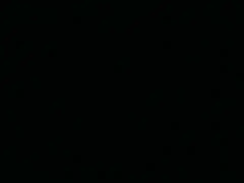 Tigerhill2023 webcam