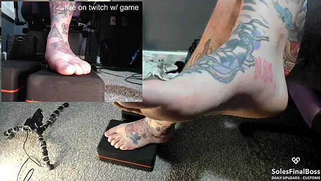 SolesFinalBoss webcam