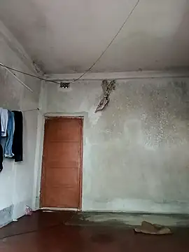 Pirates_Jack_Sparrow webcam