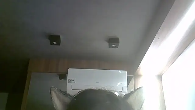 SkinnyKitten webcam
