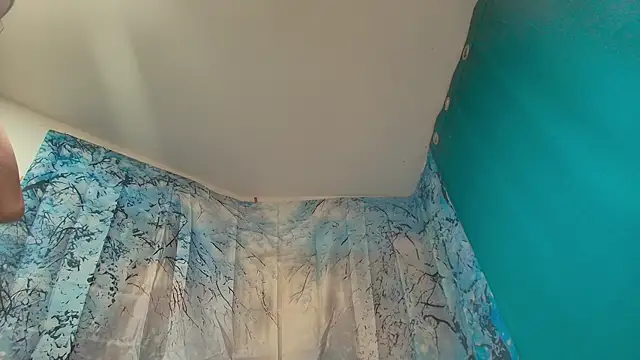 msspaola - MSSPAOLA's free webcam