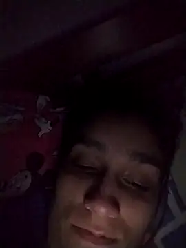 vegonicarouge webcam