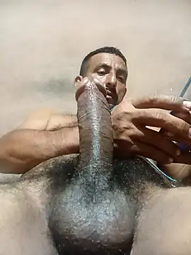 Longthick26cm webcam