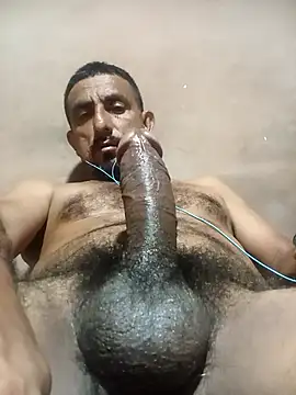 Longthick26cm webcam