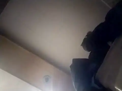 AceticPinscher webcam