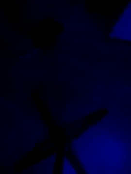 Cool24daddy24 webcam