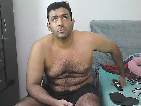 IronSideBear webcam