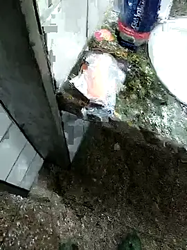 Preview of alfaromeoromeo