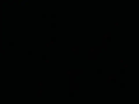 Tigerhill2023 webcam