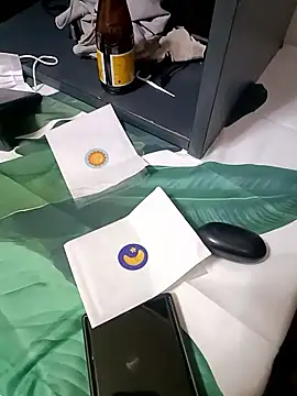 subarashii-nihon webcam