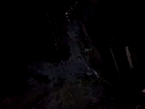 sloppytopkins webcam