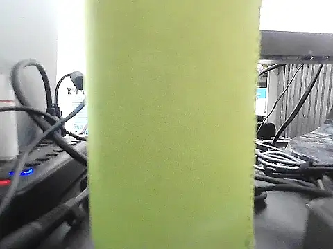 GordoChancludoSLP webcam