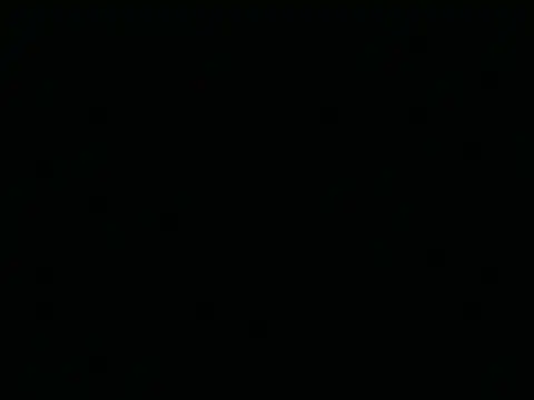 Tigerhill2023 webcam