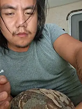 Spunpersuasion webcam