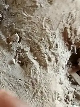 Preview of haryanaboypanipat12