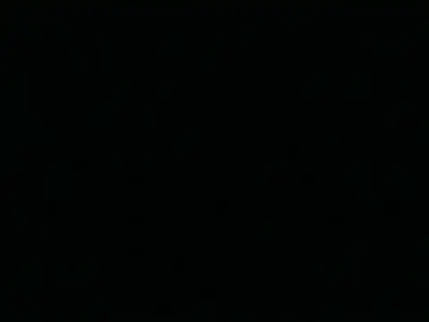 Tigerhill2023 webcam