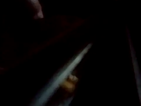 AceticPinscher webcam