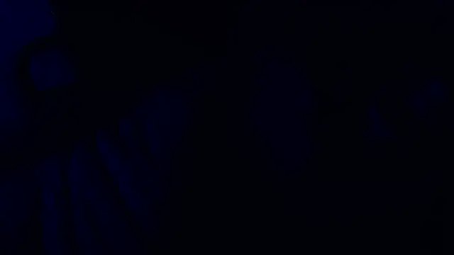 Preview of sampookie