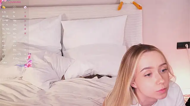 HollisBeckett webcam