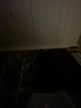 GusanoDelicioso webcam