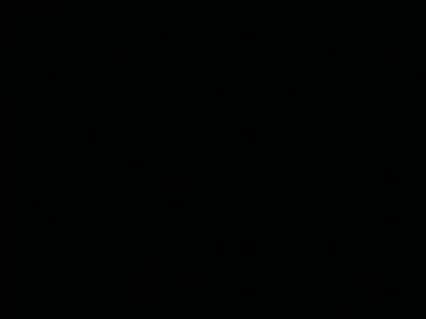 Tigerhill2023 webcam