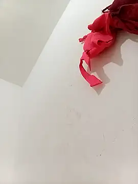 Carolzinhamodel webcam