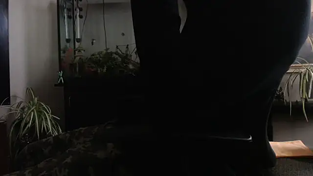 Preview of espanolvato