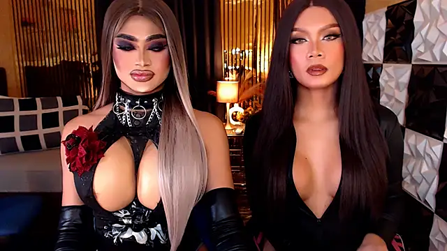 StellaPerkins webcam