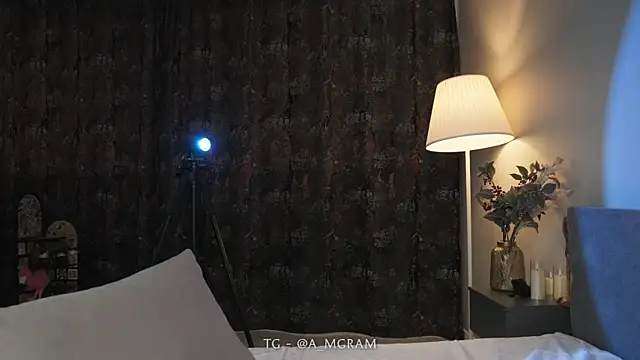 disco_elysium webcam