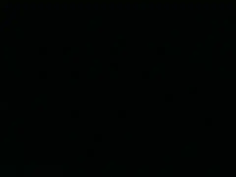 Tigerhill2023 webcam