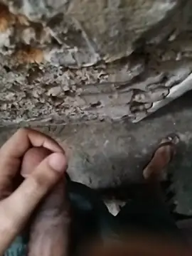 ShadowMaverickaFR webcam