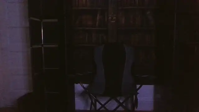 VenezuelaLuxeNoir webcam