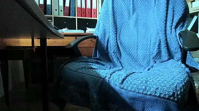 leccaleccafiga webcam