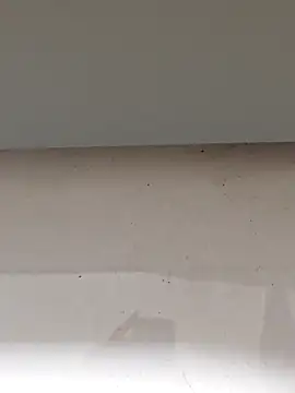 美女Aytc9989在线直播