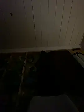 GusanoDelicioso webcam