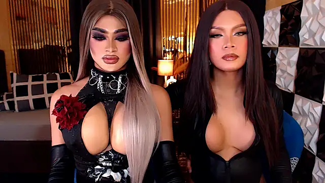 StellaPerkins webcam