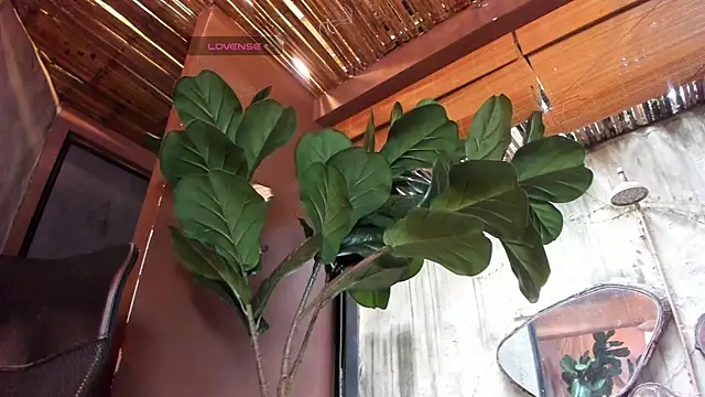 Victoria_Gonzalez webcam