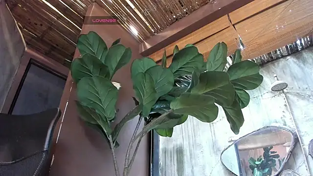 Victoria_Gonzalez webcam