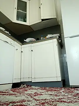 Impression222 webcam