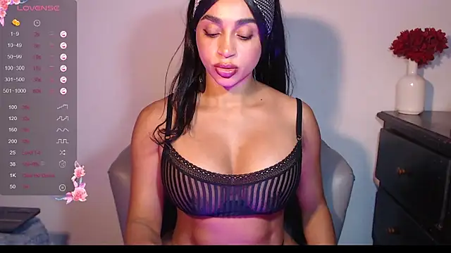 destinne_mill_ webcam