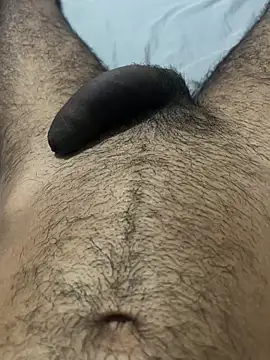 Preview of profetabr26