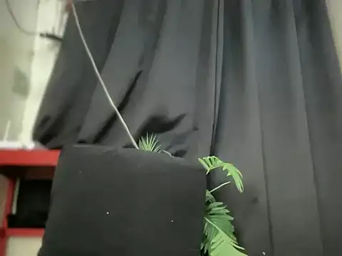 spicy_margaritaxxx webcam