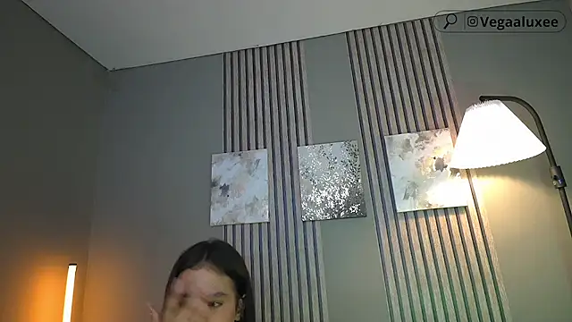 VegaLuxe webcam