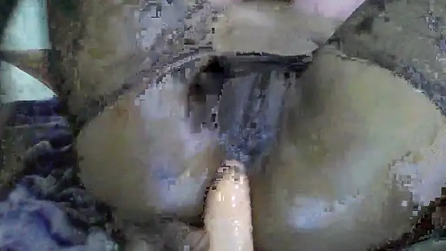 Brown_Sugar200 webcam