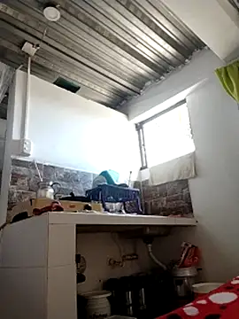 vegonicarouge webcam