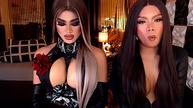 StellaPerkins webcam