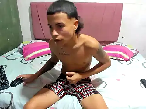 Nikoll_couplee webcam