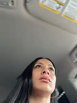 FerrariFrench webcam