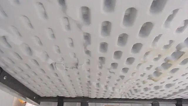 veronica_salas webcam