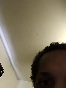 AlphaPremiere webcam